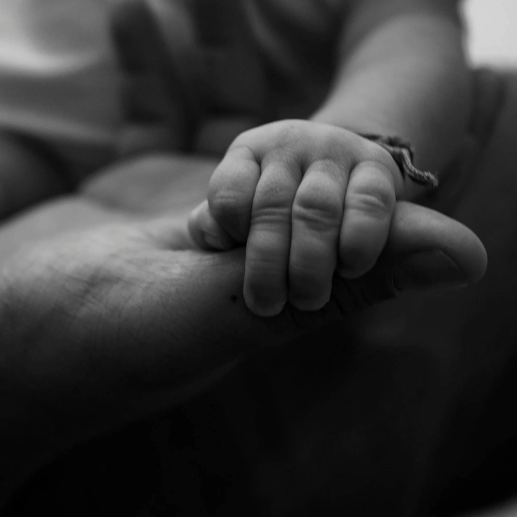A baby’s hand held gently in a parent’s hand